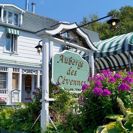 Auberge Des Cevennes L'Anse-Saint-Jean Bagian luar foto