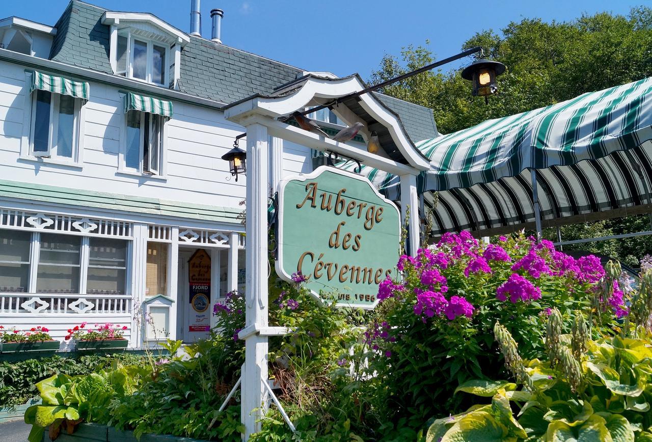 Auberge Des Cevennes L'Anse-Saint-Jean Bagian luar foto